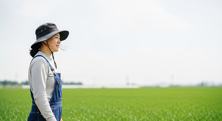 JPG 편집이미지 여자 농업 자연 하늘 작업복 풍경 초원 여름 파란색 농장 농촌 농부 의료성형뷰티 편집실사 직업 옷 계절 산업 컬러 사람 시골 CG 생태계 파일형식