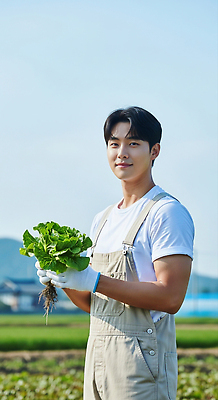 JPG 식물 편집이미지 손 채소 자연 건강 일상 농장 농사 수확 농촌 작업 농부 상추 유기농 의료성형뷰티 편집실사 직업 웰빙 농업 라이프 신체부위 시골 CG 생태계 파일형식