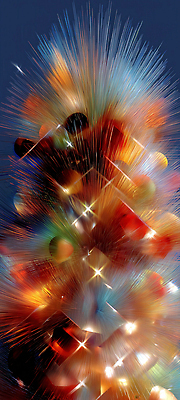 편집이미지 계절 공공시설 감정 컨셉 크리스마스 놀이 하늘 사람 풍경 야간 파일형식 불꽃놀이 밤하늘 컬러 화려 군중 축제 기쁨 즐거움 경관 순간 빛 여름 공원 이벤트 JPG 크리스마스트리 이미지편집