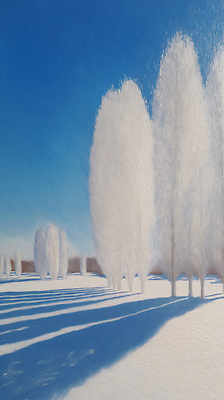 식물 계절 컬러 컨셉 날씨 생태계 파일형식 겨울 하늘 나무 풍경 그림자 흰색 자연 조용 밝음 야외 맑음 휴식 시원함 일러스트 국내일러스트 JPG