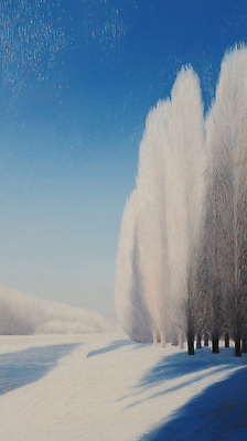 식물 계절 컬러 컨셉 겨울 풍경 생태계 파일형식 하늘 나무 자연 겨울풍경 흰색 조화 숲 고요 따뜻함 차가움 눈덮임 평화 파란색 일러스트 국내일러스트 JPG