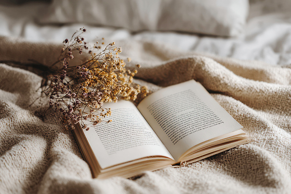 주간 식물 가구 라이프 생활 감각 CG 생태계 파일형식 책 침대 꽃 부드러움 아침 방 편안함 독서 따뜻함 자연 침실 라이프스타일 일상 편집이미지 편집실사 JPG