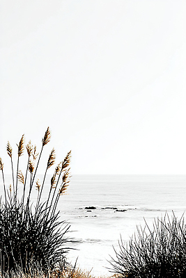 계절 바다 컨셉 노을 생태계 파일형식 풍경 자연 고요 하늘 해변 일몰 생명 뷰티풀 차분 식물 여름 평화 조용 일러스트 국내일러스트 JPG