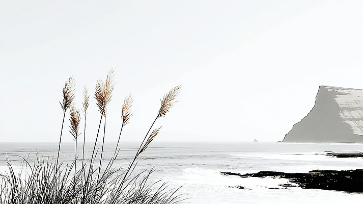 자연요소 감정 바다 날씨 휴식 생태계 파일형식 해변 풍경 절벽 자연 여유 고요 파도 시원함 뷰티풀 바람 수평선 조용 여행 산책 일러스트 국내일러스트 JPG
