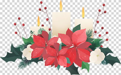 식물 편집이미지 계절 기념일 꽃 잎 크리스마스 겨울 초 따뜻함 장식 빨간색 초록색 조화 PNG 포인세티아 컬러 이벤트 파일형식