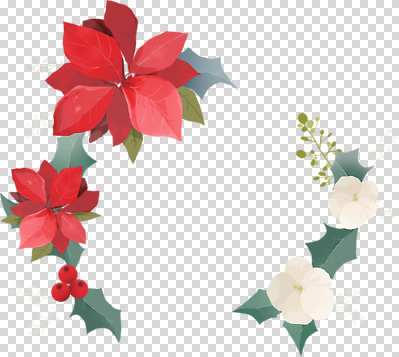 식물 편집이미지 디자인 꽃 크리스마스 겨울 자연 이벤트 장식 축제 분위기 PNG 포인세티아 연말 계절 기념일 컨셉 생태계 파일형식