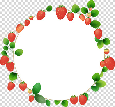 도형 식물 과일 생태계 파일형식 딸기 잎 원형 디자인 테두리 장식 자연 컬러 신선 제조 예술 백그라운드 편집이미지 PNG