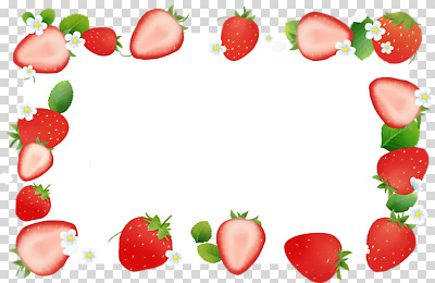 식물 계절 컨셉 과일 생태계 파일형식 딸기 디자인 장식 꽃 신선 자연 여름 분위기 색감 음식 상큼 편집이미지 PNG