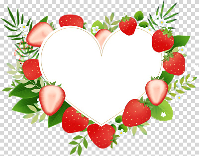 모양 식물 계절 과일 생태계 파일형식 딸기 꽃 하트 프레임 장식 디자인 여름 열대 자연 예술 컬러 비어있는 편집이미지 PNG