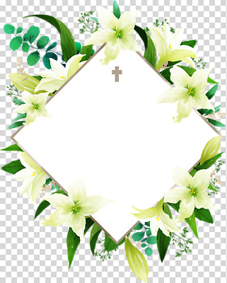 식물 기념일 컬러 보석 생태계 파일형식 꽃 프레임 다이아몬드 장식 비어있는 디자인 흰색 초록색 자연 잎 십자가 백그라운드 생명 편집이미지 PNG 부활절
