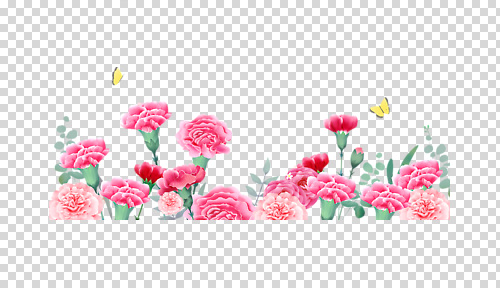 편집이미지 꽃 꽃다발 나비 백그라운드 잎 장식 봄 카네이션 PNG 식물 계절 곤충 파일형식