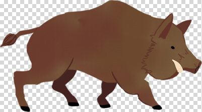 동물 편집이미지 자연 생물 털 달리기 걷기 활발 숲 먹이 생태계 서식지 멧돼지 PNG 컨셉 포유류 모션 파일형식