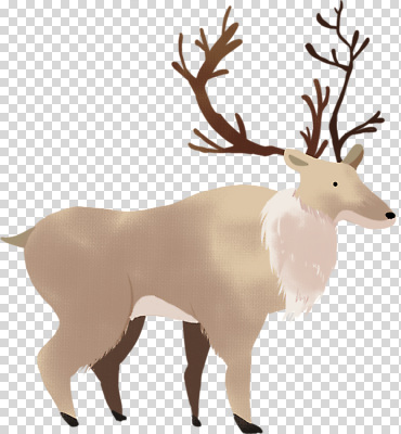 계절 컨셉 포유류 모션 생태계 파일형식 사슴 초원 겨울 자연 걷기 동물 평화 털 뿔 풍경 생명 환경 고요 편집이미지 PNG