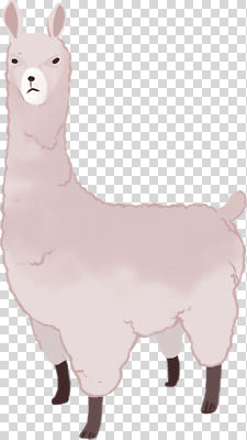 동물 편집이미지 컬러 자연 생명 털 표정 동물원 평화 귀여움 관찰 PNG 라마 컨셉 모션 생태계 파일형식