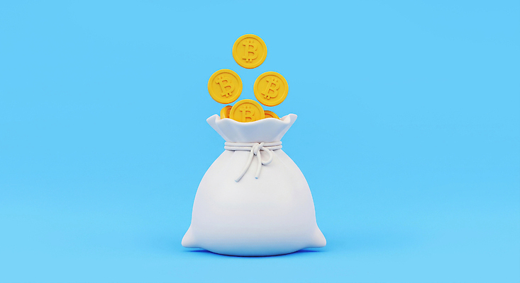 JPG 편집이미지 돈 인터넷 가방 금융 경제 디지털 동전 거래 재산 투자 가상화폐 블록체인 편집3D 잡화 비즈니스 3D 파일형식 4차산업