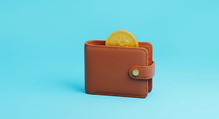 JPG 편집이미지 디자인 백그라운드 금융 경제 파란색 갈색 디지털 동전 지갑 재산 가죽 오브젝트 투자 가상화폐 블록체인 편집3D 컬러 돈 비즈니스 3D 파일형식 4차산업