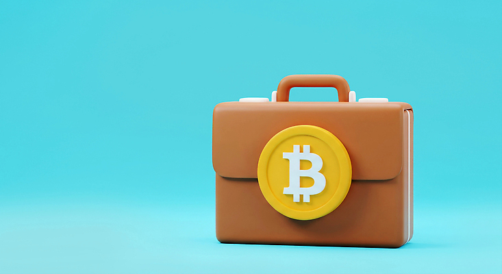 JPG 편집이미지 디자인 서류가방 기술 금융 경제 파란색 디지털 재산 가죽 심볼 투자 가상화폐 블록체인 편집3D 스테이블코인 컬러 돈 가방 비즈니스 3D 파일형식 4차산업