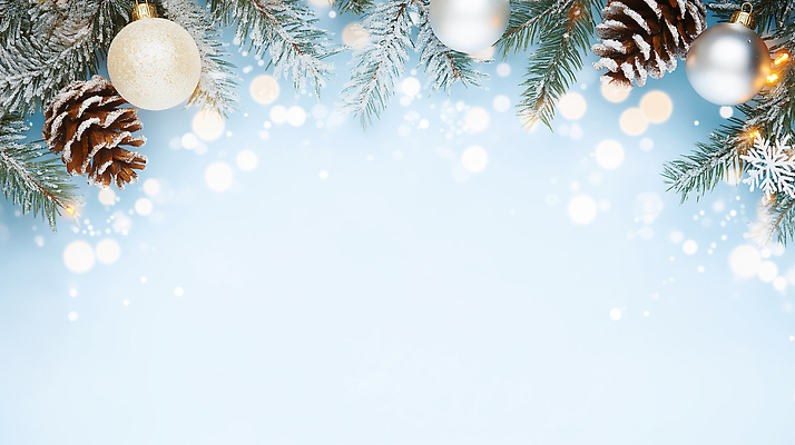 JPG 나무 편집이미지 크리스마스 겨울 가지 눈꽃 따뜻함 장식 반짝임 축제 분위기 은색 솔방울 이미지편집 식물 계절 기념일 컬러 컨셉 채소 모션 눈_날씨 파일형식