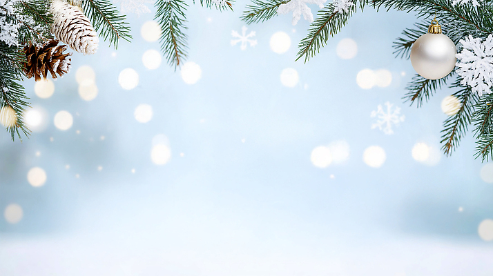 JPG 나무 편집이미지 백그라운드 크리스마스 겨울 자연 조명 따뜻함 장식 반짝임 축제 소나무 눈송이 휴일 파인애플 이미지편집 식물 계절 기념일 과일 모션 눈_날씨 열대과일 생태계 파일형식