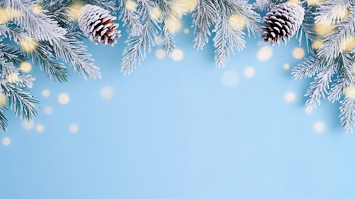 JPG 나무 편집이미지 사계절 계절 백그라운드 크리스마스장식 크리스마스 겨울 자연 조명 장식 축제 소나무 분위기 솔방울 이미지편집 식물 기념일 컨셉 생태계 파일형식