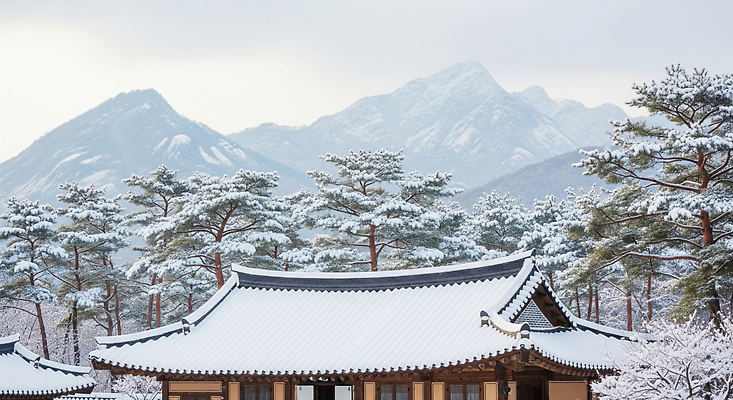 JPG 나무 편집이미지 전통 건축 문화 겨울 자연 산 한옥 한국 풍경 고요 뷰티풀 겨울풍경 눈덮임 편집실사 식물 한국전통 계절 아시아 컨셉 고건축 CG 생태계 파일형식