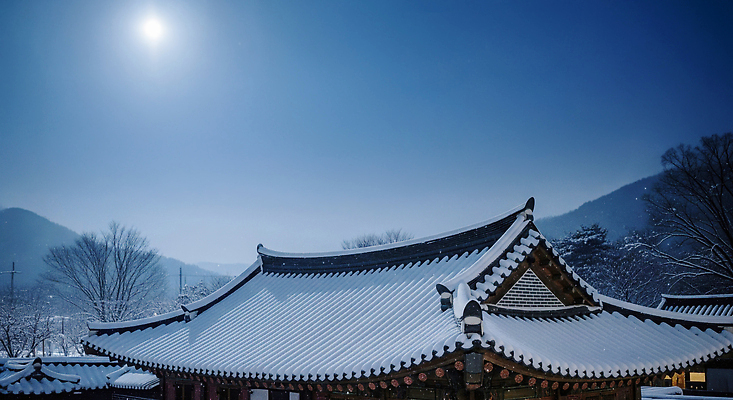 JPG 나무 편집이미지 전통 건축 문화 겨울 자연 하늘 한옥 한국 풍경 달빛 조용 뷰티풀 편집실사 식물 한국전통 계절 아시아 고건축 달 CG 생태계 파일형식