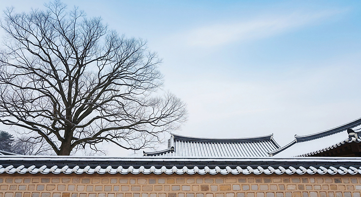 JPG 나무 식물 편집이미지 전통 문화 겨울 자연 지붕 한옥 한국 풍경 고요 고택 편집실사 한국전통 건축물 계절 아시아 고건축 CG 생태계 파일형식