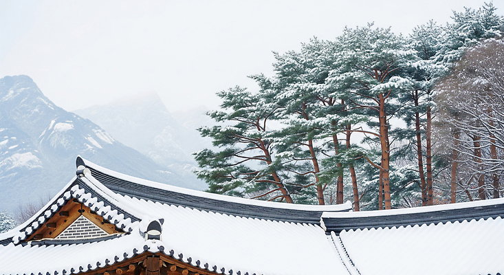 JPG 나무 편집이미지 전통 계절 겨울 자연 산 한옥 풍경 평화 고요 소나무 뷰티풀 편집실사 식물 한국전통 컨셉 고건축 CG 생태계 파일형식