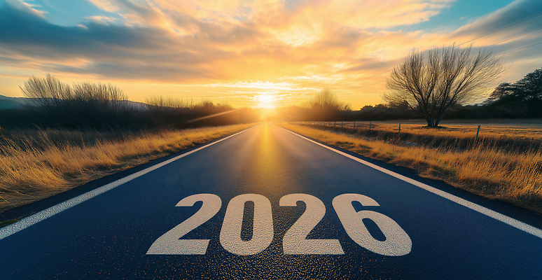 JPG 나무 편집이미지 도로 컬러 여행 자연 하늘 새해 풍경 초원 태양 일출 일몰 시간 저녁 시작 2026년 편집실사 자연요소 식물 길 교통시설 노을 야간 연도 CG 생태계 파일형식