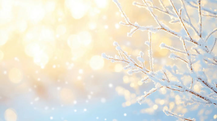 JPG 나무 편집이미지 잎 겨울 자연 하늘 아침 가지 따뜻함 풍경 반짝임 햇빛 맑음 눈송이 차가움 이미지편집 AI컴퓨터그래픽 AI콘텐츠 주간 식물 계절 채소 모션 날씨 눈_날씨 태양 생태계 파일형식