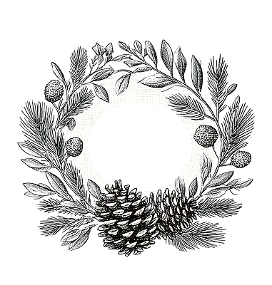 JPG 나무 식물 디자인 잎 크리스마스 겨울 일러스트 자연 흑백 선물 장식 인테리어 화환 소나무 빈티지 오브젝트 솔방울 드로잉 자연주의 국내일러스트 계절 기념일 꽃 컨셉 촬영기법 미술 생태계 파일형식