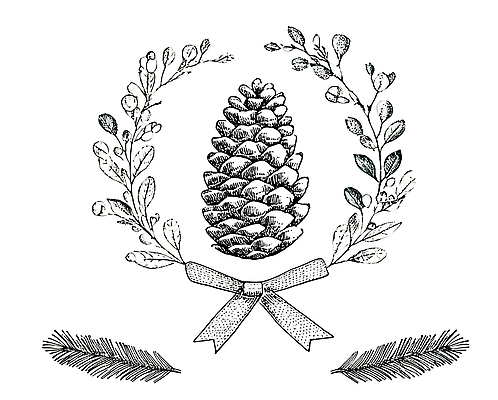 JPG 식물 디자인 리본 예술 일러스트 자연 나뭇잎 흑백 그래픽 장식 고리 그림 심플 이미지 솔방울 드로잉 보테니컬아트 아기자기 국내일러스트 컨셉 잎 촬영기법 미술 생태계 파일형식