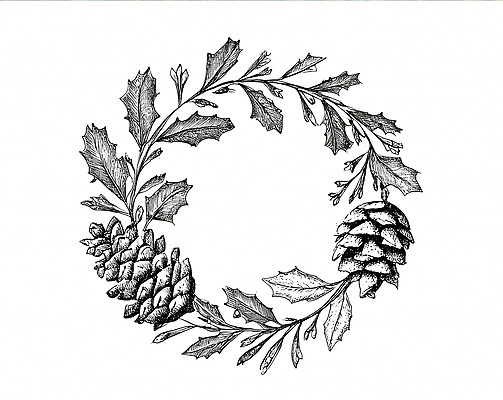 JPG 식물 전통 디자인 계절 예술 잎 겨울 일러스트 자연 흑백 장식 화환 소나무 원형 그림 원예 심플 솔방울 드로잉 겨우살이 뷰티풀 미니멀 국내일러스트 도형 나무 꽃 촬영기법 미술 취미 생태계 파일형식
