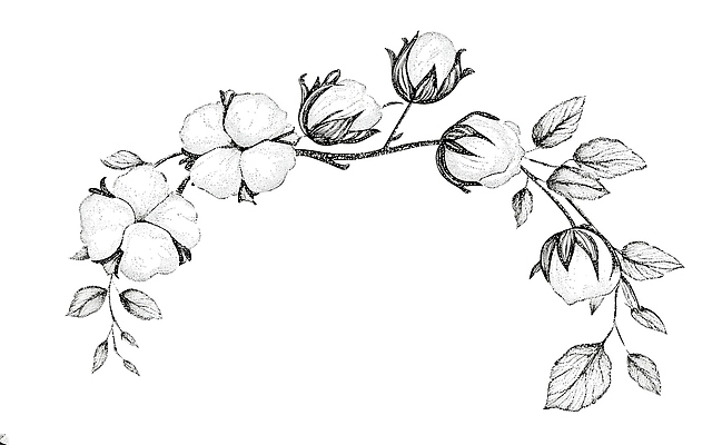 JPG 식물 전통 디자인 꽃 예술 잎 농업 일러스트 자연 가지 흑백 흰색 솜 그림 원예 드로잉 뷰티풀 소프트 국내일러스트 AI일러스트 AI콘텐츠 산업 컬러 채소 촬영기법 미술 취미 생태계 파일형식