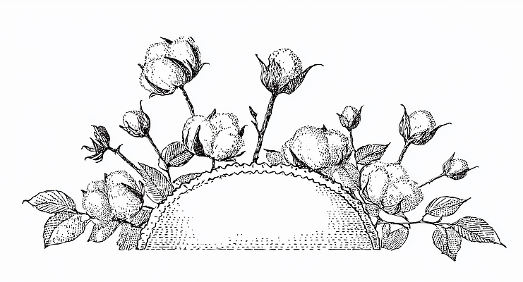 JPG 모양 식물 디자인 예술 백그라운드 잎 일러스트 도안 자연 가지 수채화 흑백 장식 장미 솜 꽃봉오리 그림 드로잉 뷰티풀 국내일러스트 AI일러스트 AI콘텐츠 꽃 채소 촬영기법 미술 생태계 파일형식