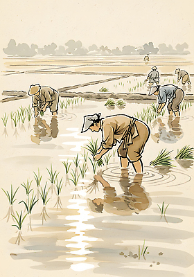 JPG 전통 계절 농업 일러스트 모션 자연 하늘 논 풍경 물 농사 고요 수확 성장 벼 농촌 시골 작업 농부 절기 심기 전문 국내일러스트 자연요소 직업 산업 곡류 생태계 파일형식