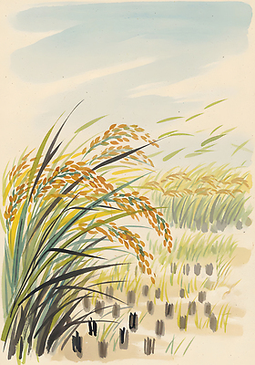 JPG 식물 컬러 농업 일러스트 자연 바람 날씨 풍경 잔디 초원 여름 농사 고요 금색 수확 농촌 절기 논밭 풍경화 국내일러스트 자연요소 계절 산업 밭 논 시골 그림 생태계 파일형식