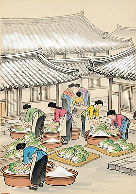 JPG 전통 문화 음식 농업 일러스트 재료 자연 한국 요리 여러명 수확 작업 시장 절기 배추 준비 소금 공동체 북한 국내일러스트 계절 산업 아시아 다수 채소 사람 생태계 파일형식