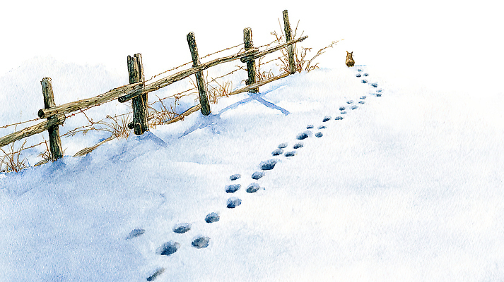 JPG 나무 동물 겨울 일러스트 자연 그림자 풍경 초원 울타리 햇빛 걷기 고요 고독 숲 발자국 신비 흰눈 겨울풍경 국내일러스트 AI일러스트 AI콘텐츠 식물 계절 감정 컨셉 자국 모션 눈_날씨 담장 태양 생태계 파일형식