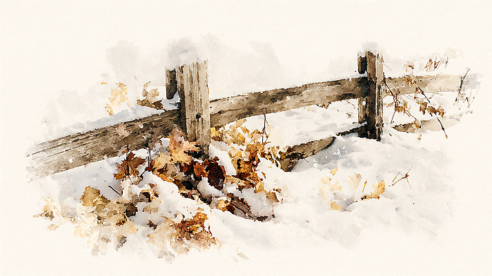 JPG 나무 낙엽 겨울 일러스트 자연 나뭇잎 풍경 야외 목재 울타리 갈색 흰색 차가움 조용 국내일러스트 AI일러스트 AI콘텐츠 식물 계절 컬러 잎 재료 담장 생태계 파일형식