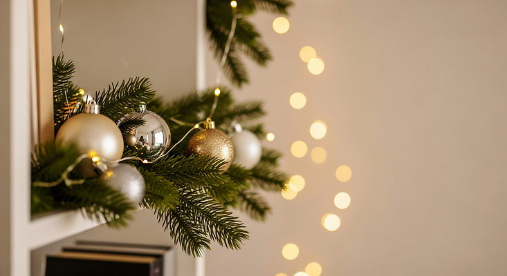 JPG 편집이미지 크리스마스 겨울 집안 나뭇잎 조명 따뜻함 장식 반짝임 인테리어 흰색 분위기 은색 편안함 구슬 연말 편집실사 디자인 계절 기념일 컬러 컨셉 잎 모션 실내 감각 CG 파일형식