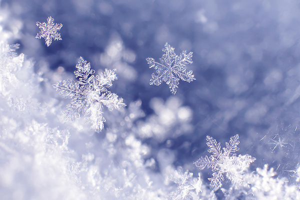 JPG 편집이미지 계절 설경 겨울 자연 풍경 빛 얼음 고요 눈송이 이미지편집 자연요소 눈_날씨 생태계 파일형식