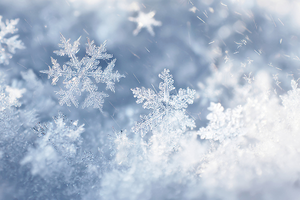 JPG 편집이미지 겨울 자연 날씨 눈꽃 풍경 반짝임 평화 얼음 고요 흰색 눈송이 차가움 기온 뷰티풀 눈내림 이미지편집 자연요소 계절 컬러 컨셉 모션 눈_날씨 생태계 파일형식