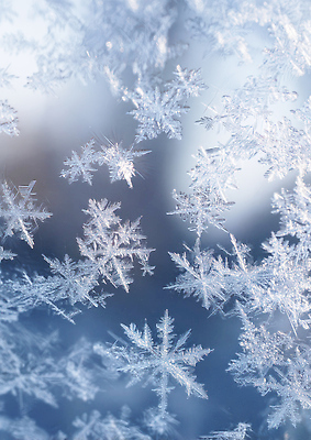 JPG 편집이미지 계절 겨울 자연 하늘 날씨 장식 빛 반짝임 눈송이 조화 축적 뷰티풀 이미지편집 모션 눈_날씨 생태계 파일형식