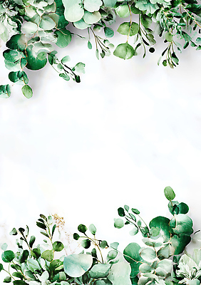 식물 계절 컬러 컨셉 농업 환경 감각 생태계 파일형식 초록색 잎 백그라운드 자연 장식 신선 흰색 디자인 생명 여름 식물원 에코 농사 편안함 오브젝트 포스터 예술 화사함 국내일러스트 일러스트 JPG