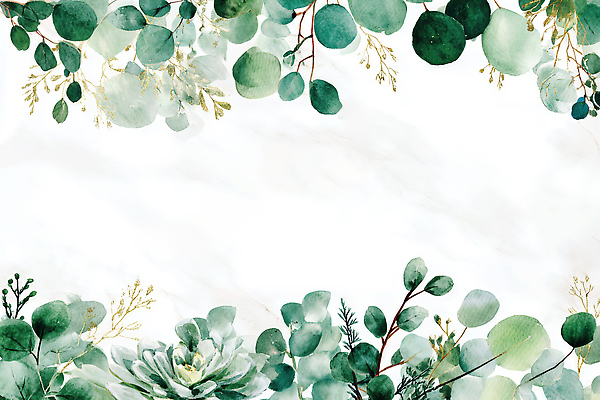 JPG 식물 디자인 예술 백그라운드 잎 일러스트 자연 수채화 그래픽 장식 초록색 유행 모던 부드러움 다육식물 생동감 헬리오트로프 국내일러스트 컬러 감각 생태계 파일형식