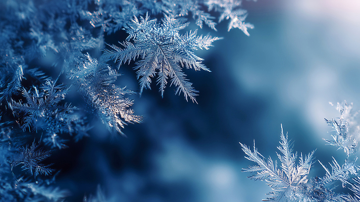 JPG 식물 편집이미지 컬러 백그라운드 겨울 자연 날씨 반짝임 햇빛 얼음 선택 차가움 창가 뷰티풀 현상 편집실사 자연요소 계절 컨셉 창문 모션 태양 CG 생태계 파일형식