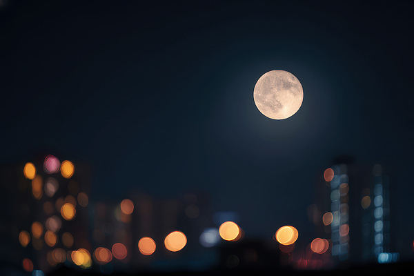 JPG 편집이미지 별 야경 자연 밤하늘 하늘 조명 풍경 빛 고요 보름달 달 도시 신비 편집실사 자연요소 컨셉 야간 CG 생태계 파일형식 풍경_경치