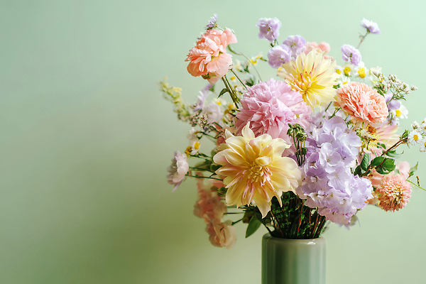 JPG 식물 편집이미지 꽃 컬러 백그라운드 자연 집안 풍경 장식 초록색 꽃병 물방울 향기 조화 뷰티풀 편집실사 AI포토 AI콘텐츠 실내 CG 생태계 냄새 파일형식