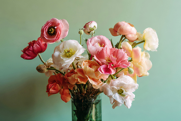 JPG 식물 편집이미지 꽃 분홍색 컬러 꽃다발 자연 탁자 유리병 실내 장식 꽃병 주황색 흰색 화사함 조화 뷰티풀 편집실사 AI포토 AI콘텐츠 가구 컨셉 병_용기 내부 CG 생태계 파일형식